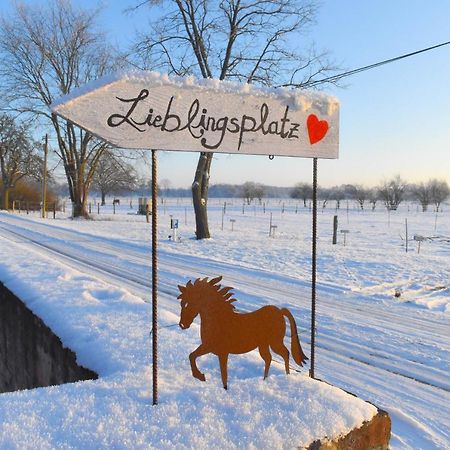 Ferienwohnung Auf Pferdehof Dreetz Buitenkant foto