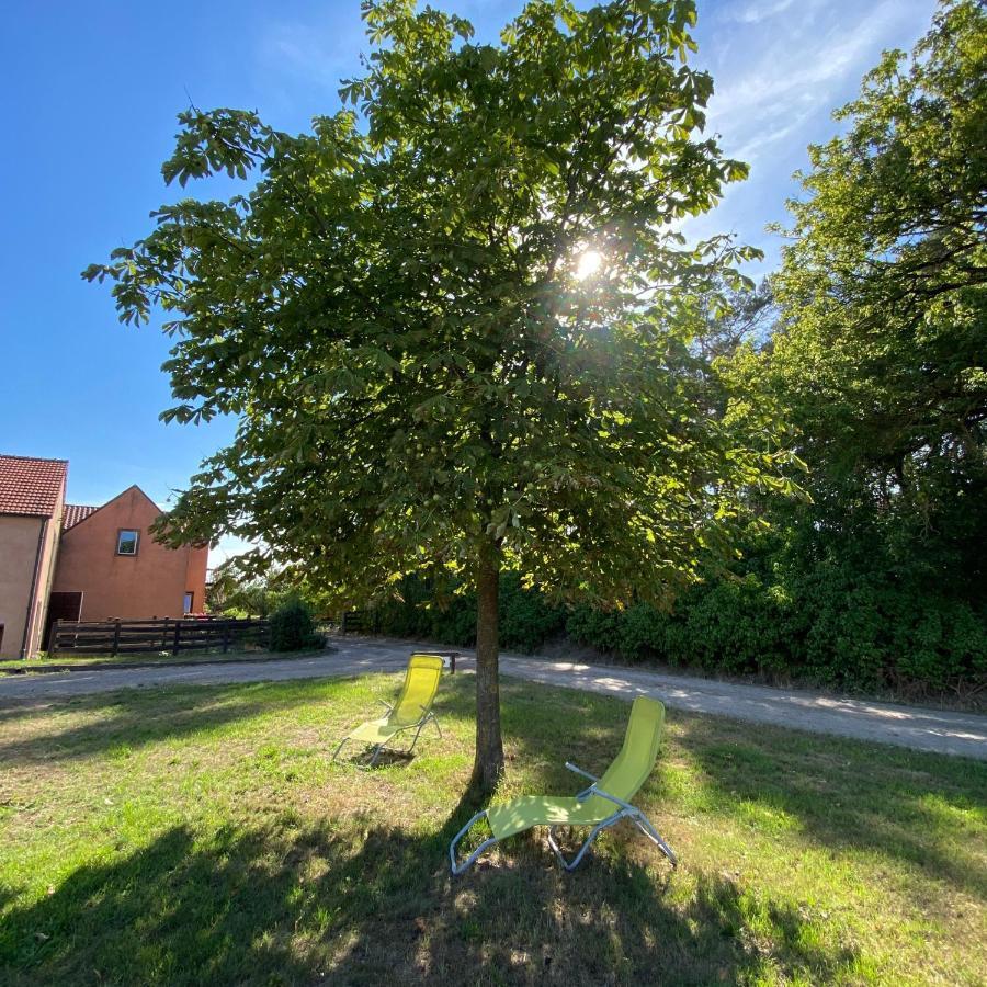 Ferienwohnung Auf Pferdehof Dreetz Buitenkant foto
