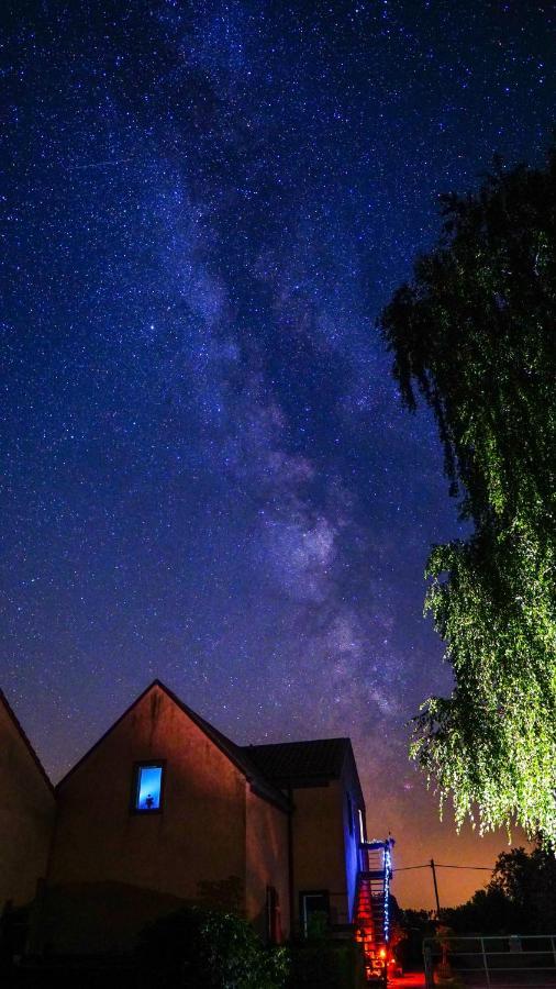 Ferienwohnung Auf Pferdehof Dreetz Buitenkant foto