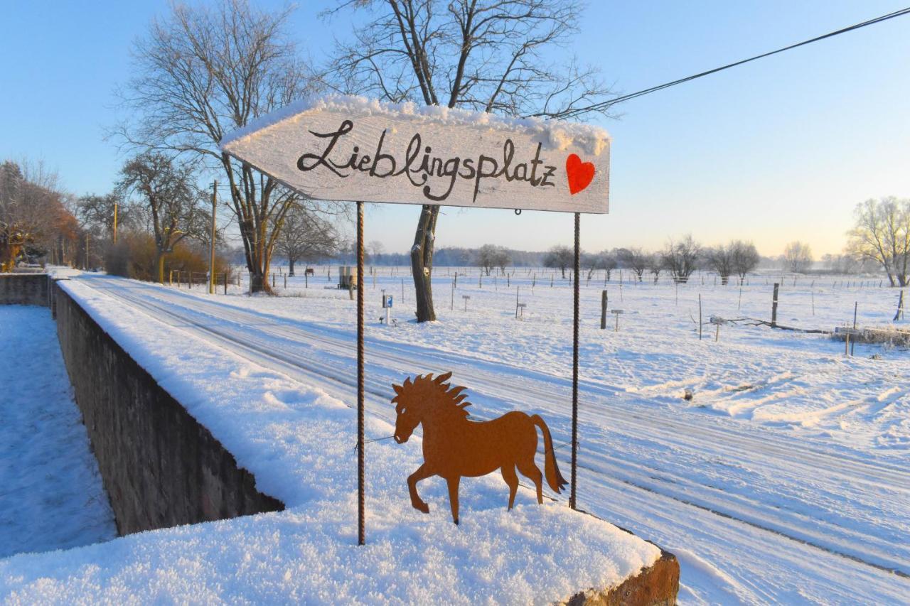 Ferienwohnung Auf Pferdehof Dreetz Buitenkant foto