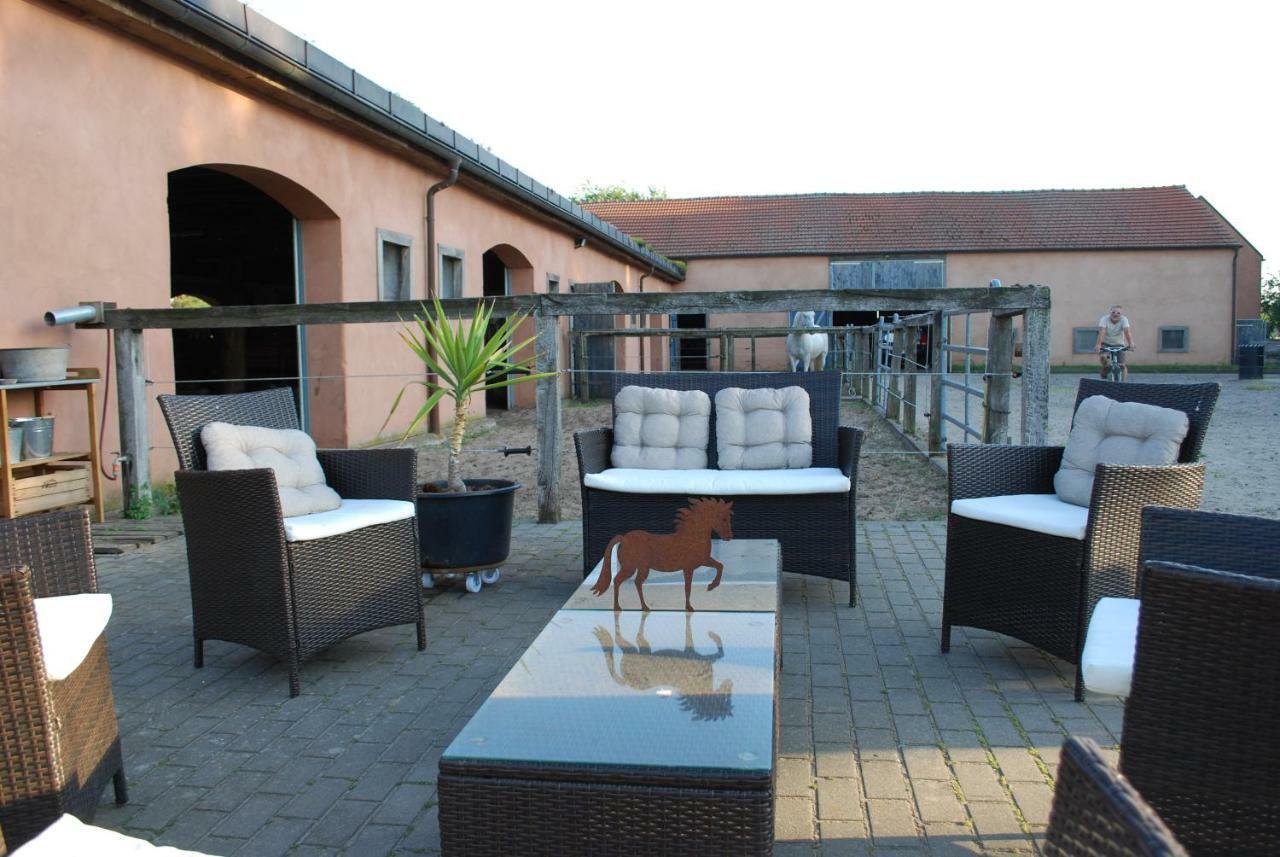 Ferienwohnung Auf Pferdehof Dreetz Buitenkant foto