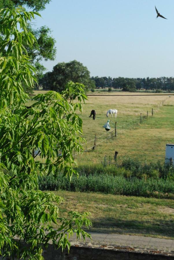 Ferienwohnung Auf Pferdehof Dreetz Buitenkant foto