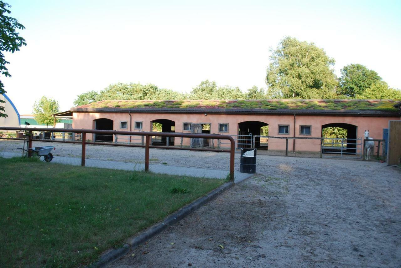 Ferienwohnung Auf Pferdehof Dreetz Buitenkant foto