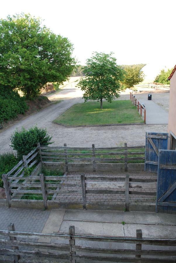 Ferienwohnung Auf Pferdehof Dreetz Buitenkant foto